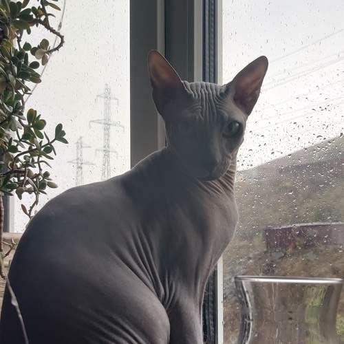 Photo #6084306