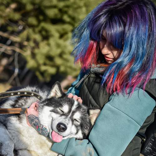 Photo #6084703