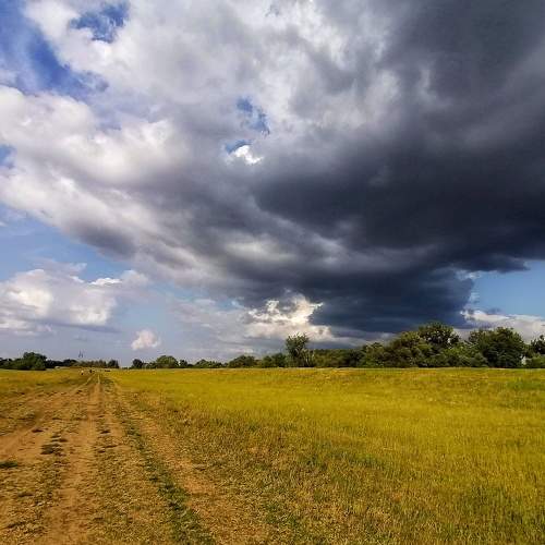 Photo #6084776