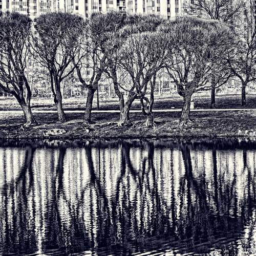 Photo #6084815