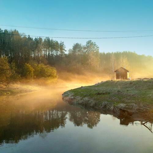 Photo #6084838