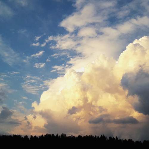 Photo #6084863
