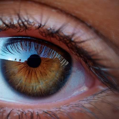 Brown eye