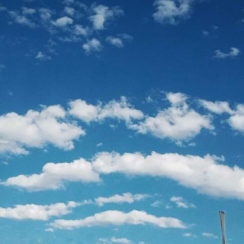 Photo #6085656