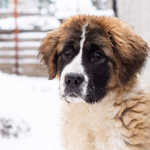 Photo #6085697