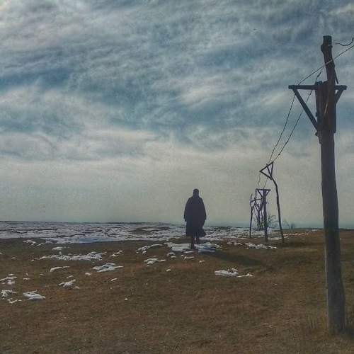 Photo #6085707