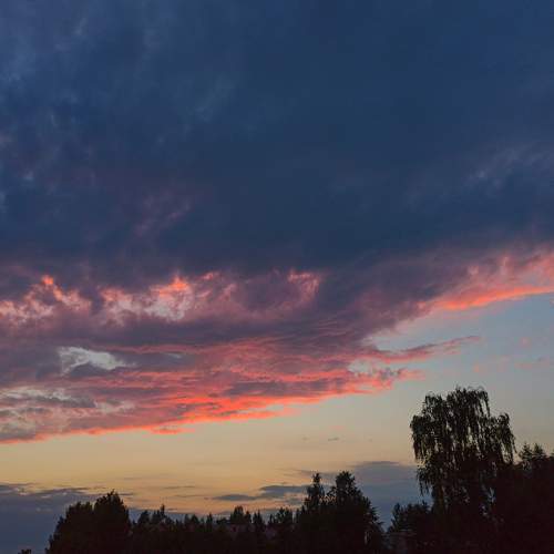 Photo #6086153