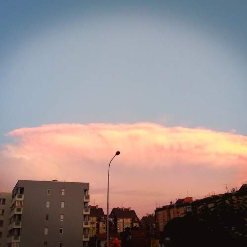 Photo #6086413