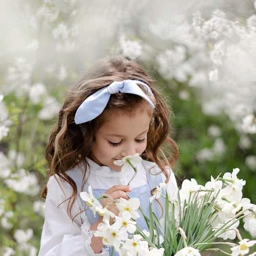 Photo #6086530