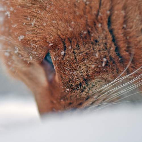 Photo #6086667