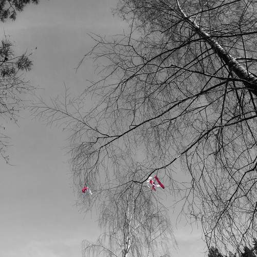 Photo #6086953