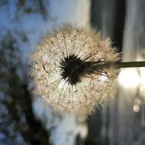 Photo #6086964