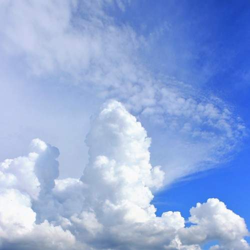 Photo #6086993