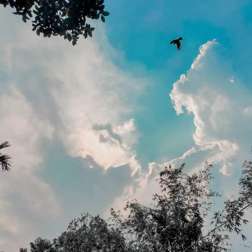 Photo #6087263