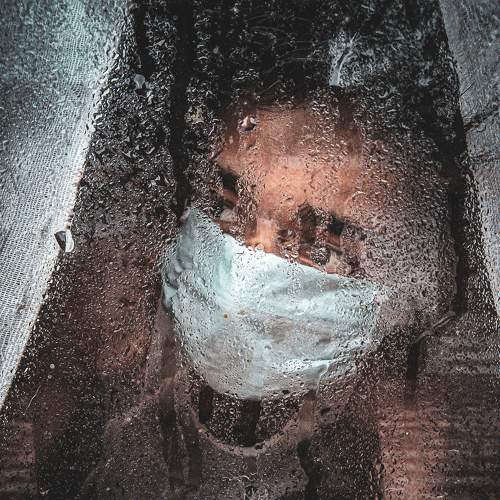 A peek through the window