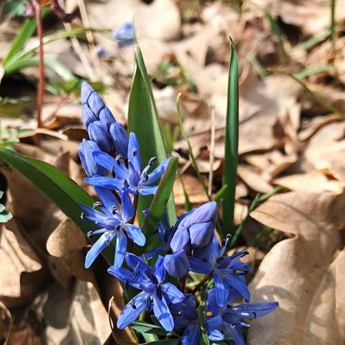 Photo #6087456