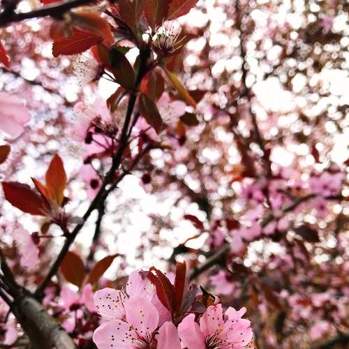 Photo #6087457