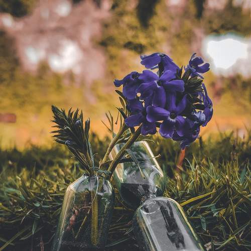Photo #6087506