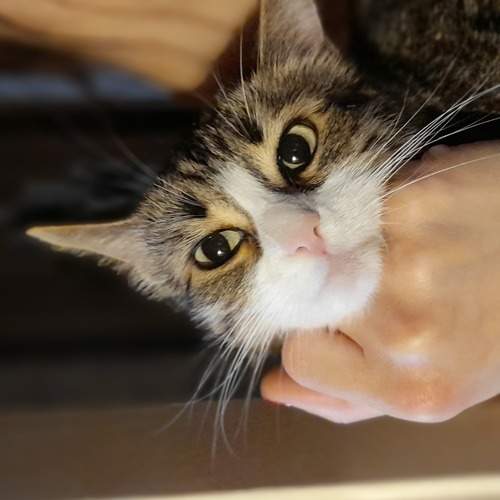 Photo #6087690