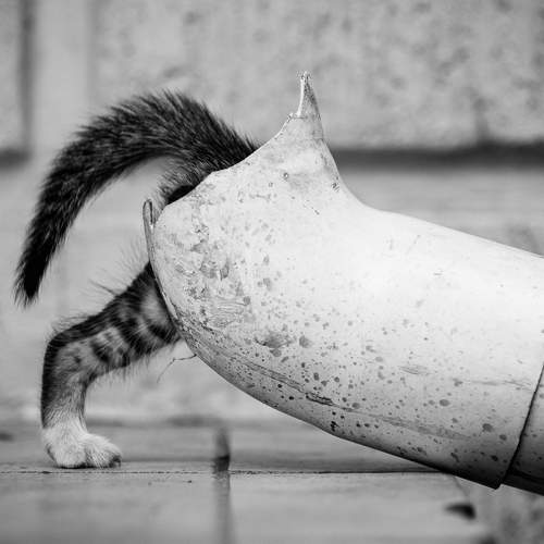 Фотография #6087716