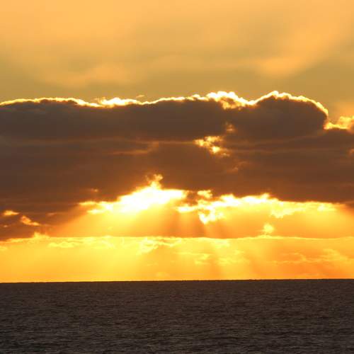 Photo #6087948
