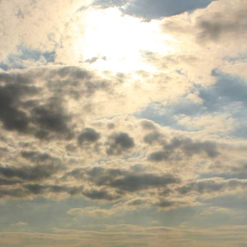 Photo #6088019