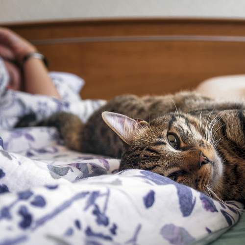 Photo #6088079