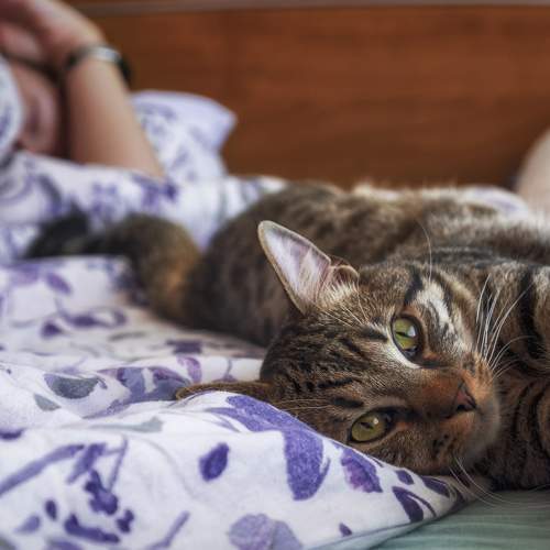 Photo #6088081