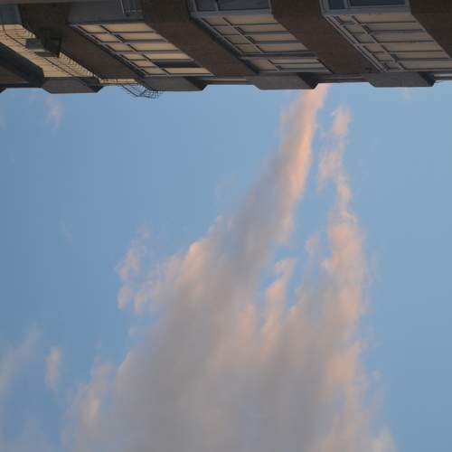 Photo #6088130