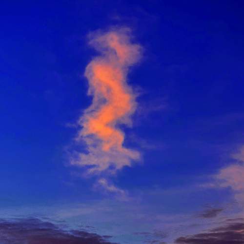 Photo #6088292