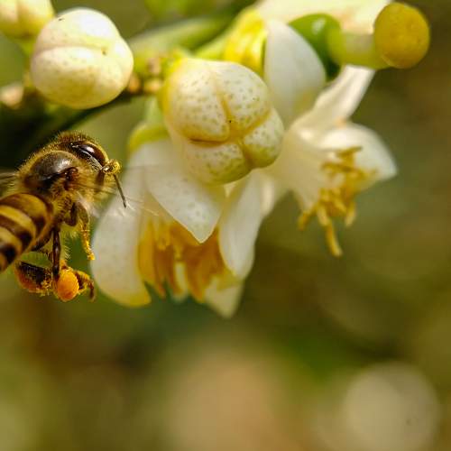 Photo #6088552