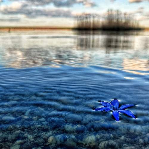 Photo #6088659