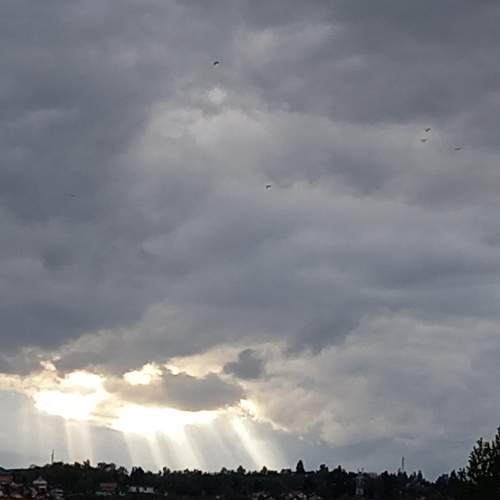 Photo #6088717