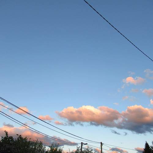 Photo #6088725