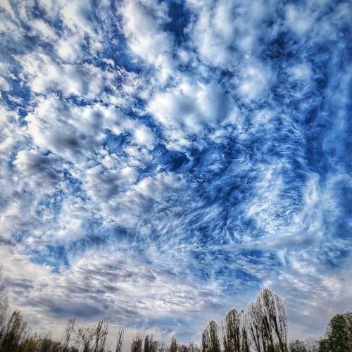Photo #6088738