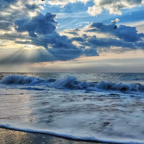Photo #6088756