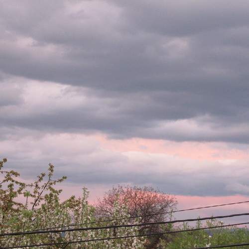 Photo #6088764