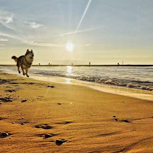 Photo #6088780