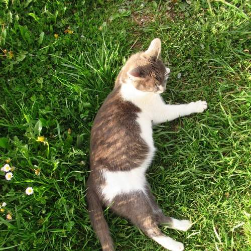 Photo #6088782