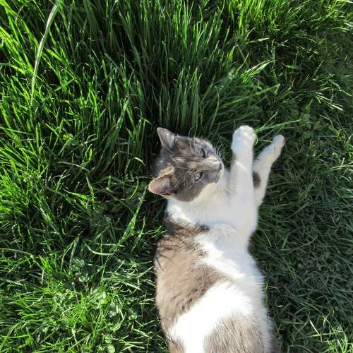 Photo #6088785