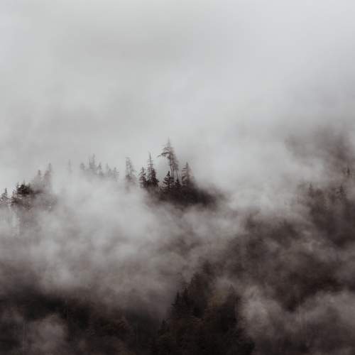 Photo #6088811