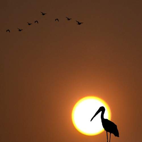 Photo #6088840