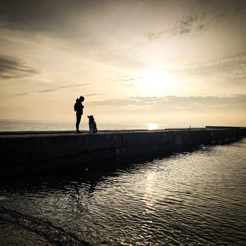 Photo #6088851