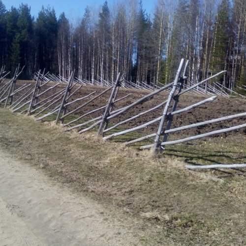 Photo #6089031