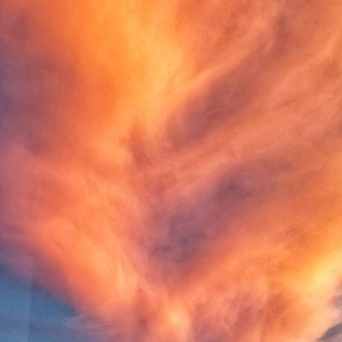 Photo #6089344