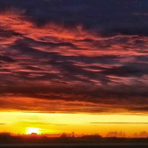 Photo #6089345