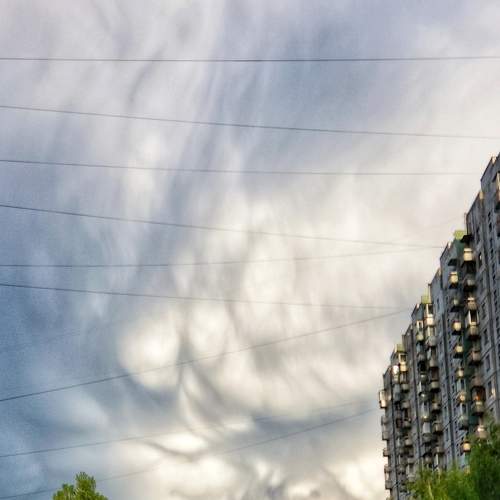Photo #6089346