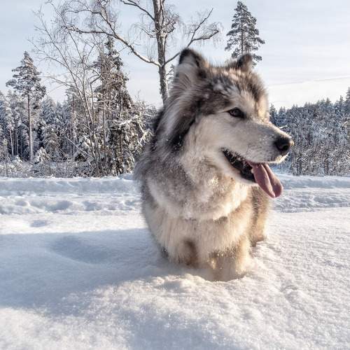 Photo #6089446
