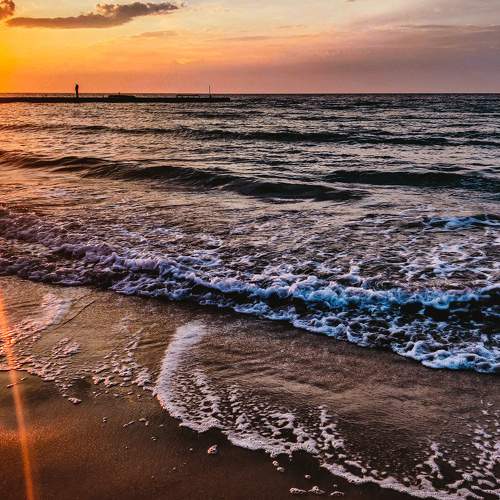 Photo #6089685