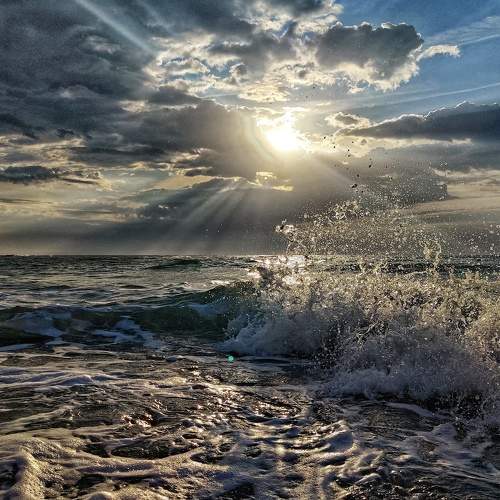 Photo #6089832